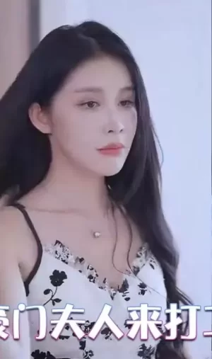 豪门夫人来打工海报