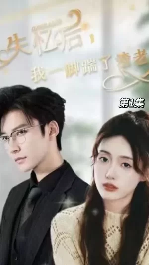 失忆后,我一脚踹了渣老公海报