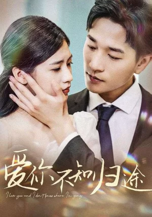 爱你不知归途海报