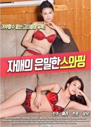 姐妹秘密换夫海报