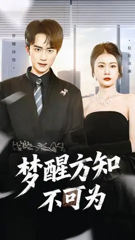 梦醒方知不可为海报