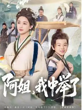 阿姐,我中举了海报