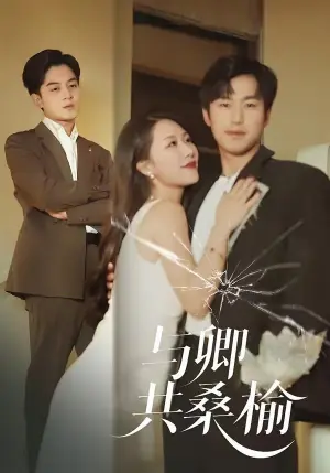 与卿共桑榆海报