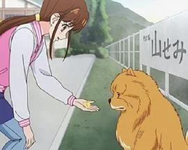 狗狗国际大赛海报