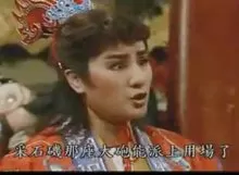 臭头洪武君海报