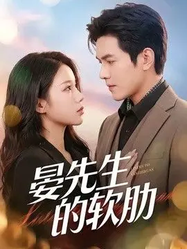 晏先生的软肋海报