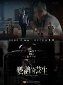 鹦鹉的营生海报