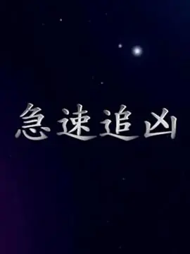 急速追凶海报
