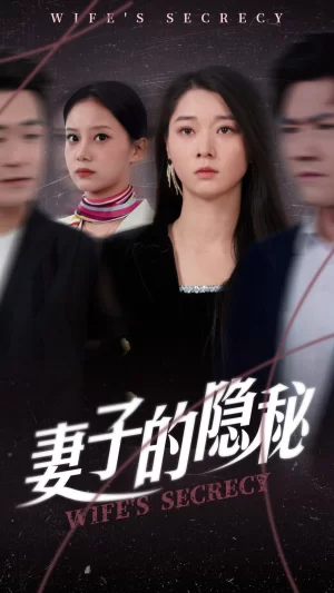 妻子的隐秘海报