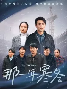 那一年寒冬海报