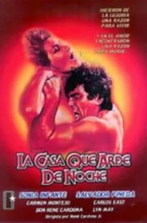夜燃屋海报