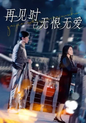 再见时已无恨无爱海报