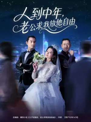 人到中年,老公求我放他自由海报