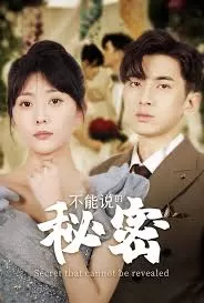 不能说的秘密海报
