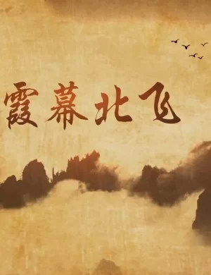 霞幕北飞海报