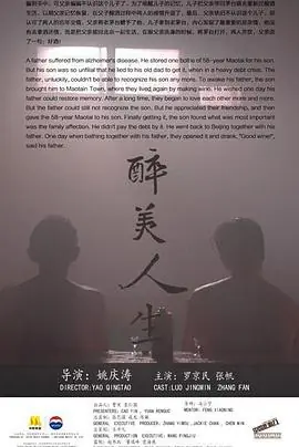 醉美人生海报