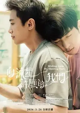 向流星许愿的我们海报