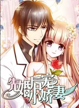 先婚后宠小娇妻动态漫画第一季海报