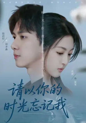 请以你的时光忘记我海报