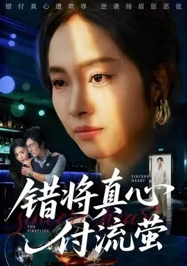 错将真心付流萤海报