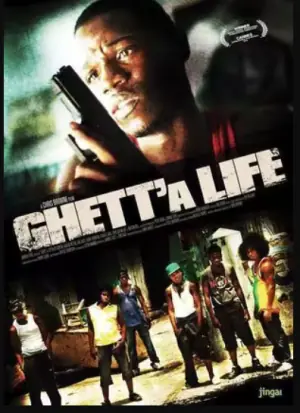 盖特的生活海报