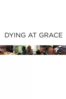 优雅中死去海报