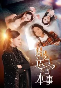 错把运气当本事海报