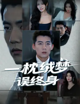 一枕绒梦误终身海报