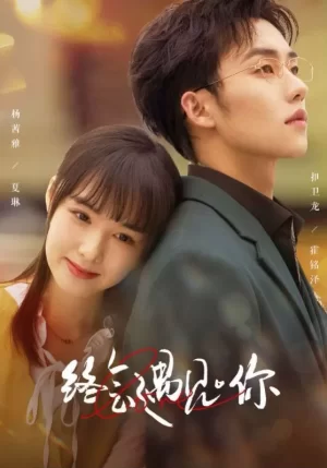 终会遇见你海报