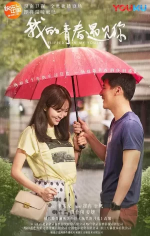 我的青春遇见你网络版海报