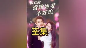 傅先生的娇妻不好追海报