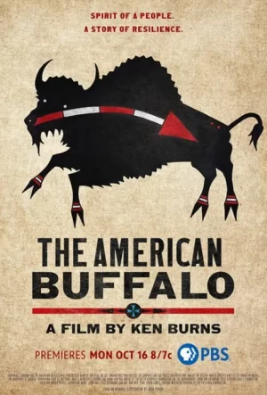 美国水牛海报