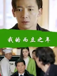 我的而立之年海报