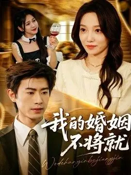 我的婚姻不将就海报