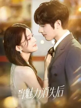 当魅力消失后海报