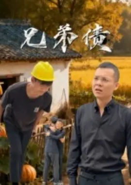 兄弟债海报