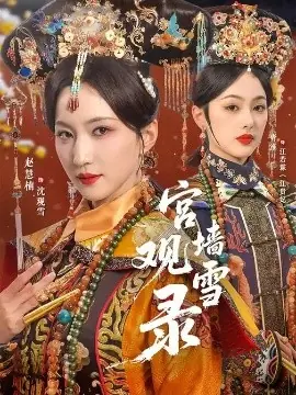 宫墙观雪录海报