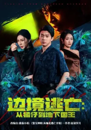 边境逃亡:从猪仔到地下国王海报
