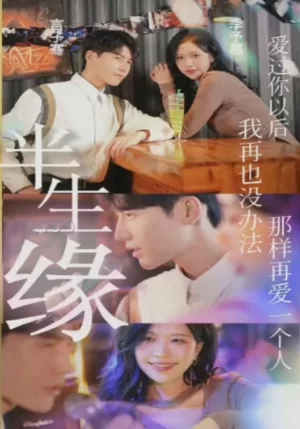 半生缘海报