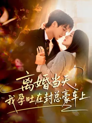 离婚当天,我孕吐在封总豪车上海报