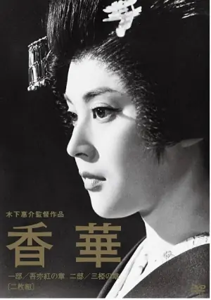 香华:后篇海报