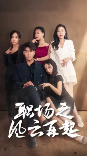 职场之风云再起海报