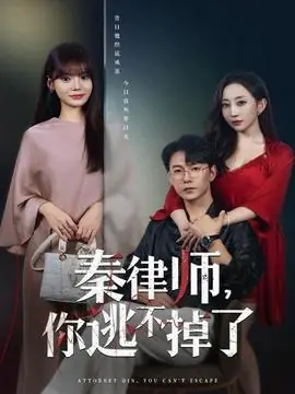秦律师你逃不掉了海报