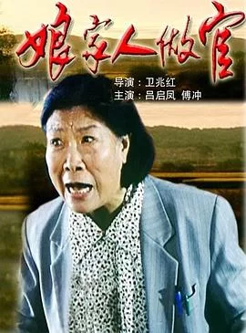 娘家人做官海报