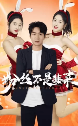 粉丝不是韭菜海报