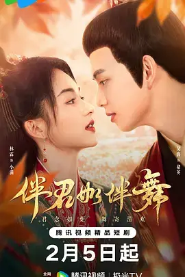 伴君如伴舞海报