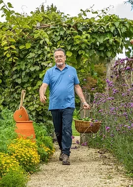 简单雷蒙德第一季海报