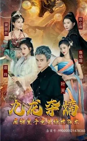 九龙夺嫡,废物皇子竟是绝世强龙海报