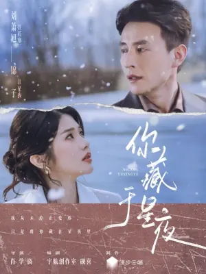 你藏于星夜海报