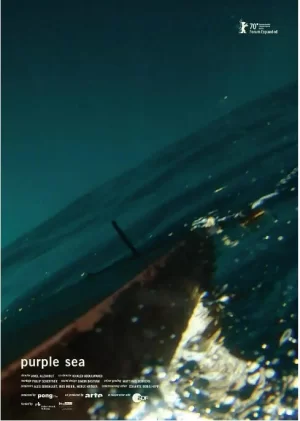 紫海海报